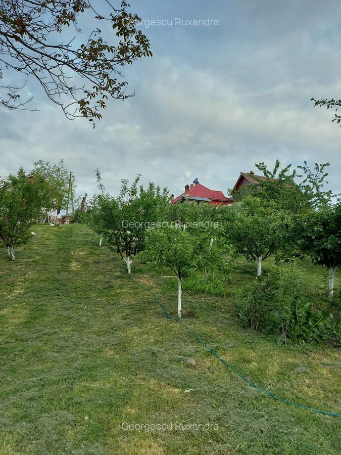 Casa individaual renovata, curte amenjata Boteni de Arges - 15