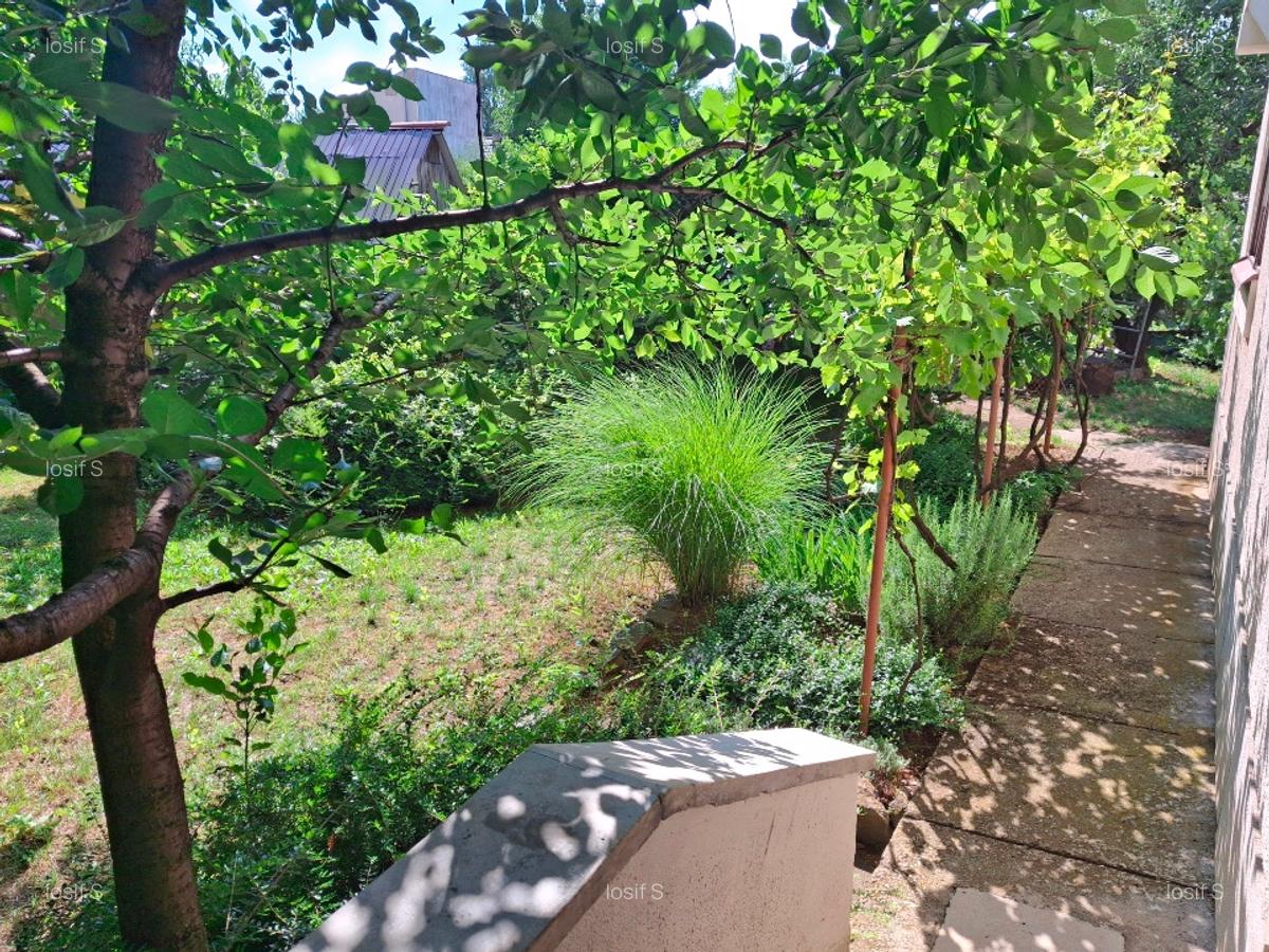 Casa cu 3 apartamente - locatie unica in Baia Mare - 15