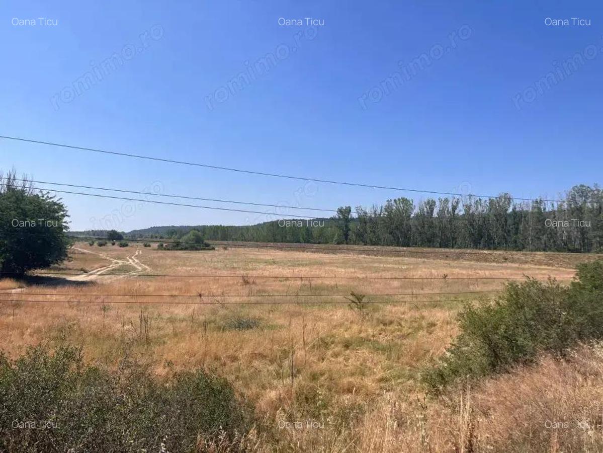 Teren agricol cu potential 24.834 mp, zona Podul Jiului - 15 Teren agricol cu potential 24.834 mp, zona Podul Jiului - 15