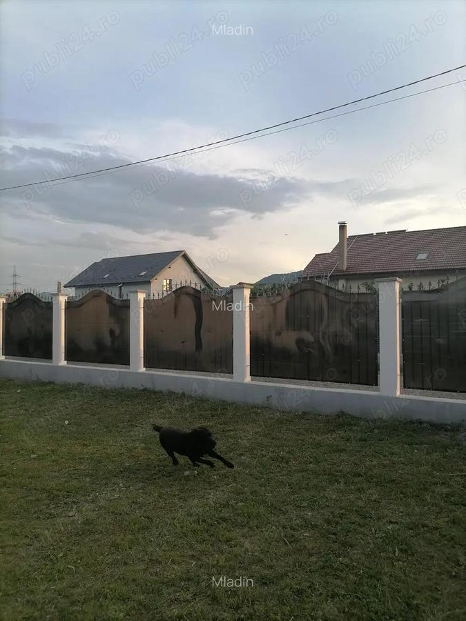 Vila noua (2023) P+M zona 1 Mai - 3