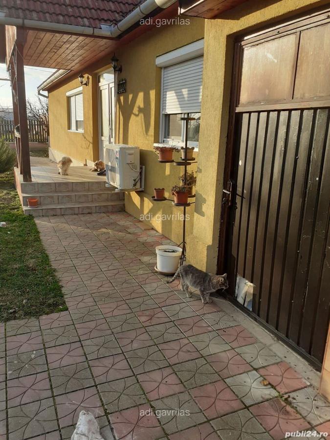 Vand casa - 4 Vand casa - 4