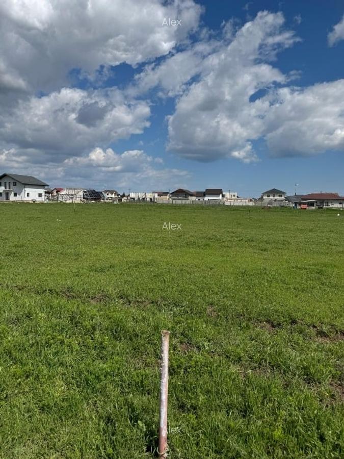 Teren de vânzare – Cumpăna, Constanța,Str. Carol I, 497 m² – 7 - 3 Teren de vânzare – Cumpăna, Constanța,Str. Carol I, 497 m² – 7 - 3