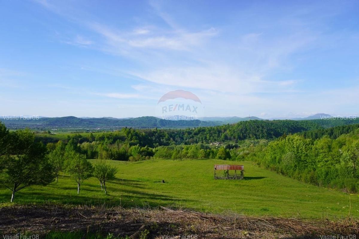 Teren 15,000mp Sighetu Marmatiei / Strada Mocanitei - 1