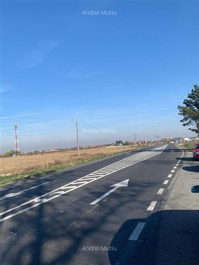 Teren Construcții intravilan de 2308 mp, în Nojorid - 4