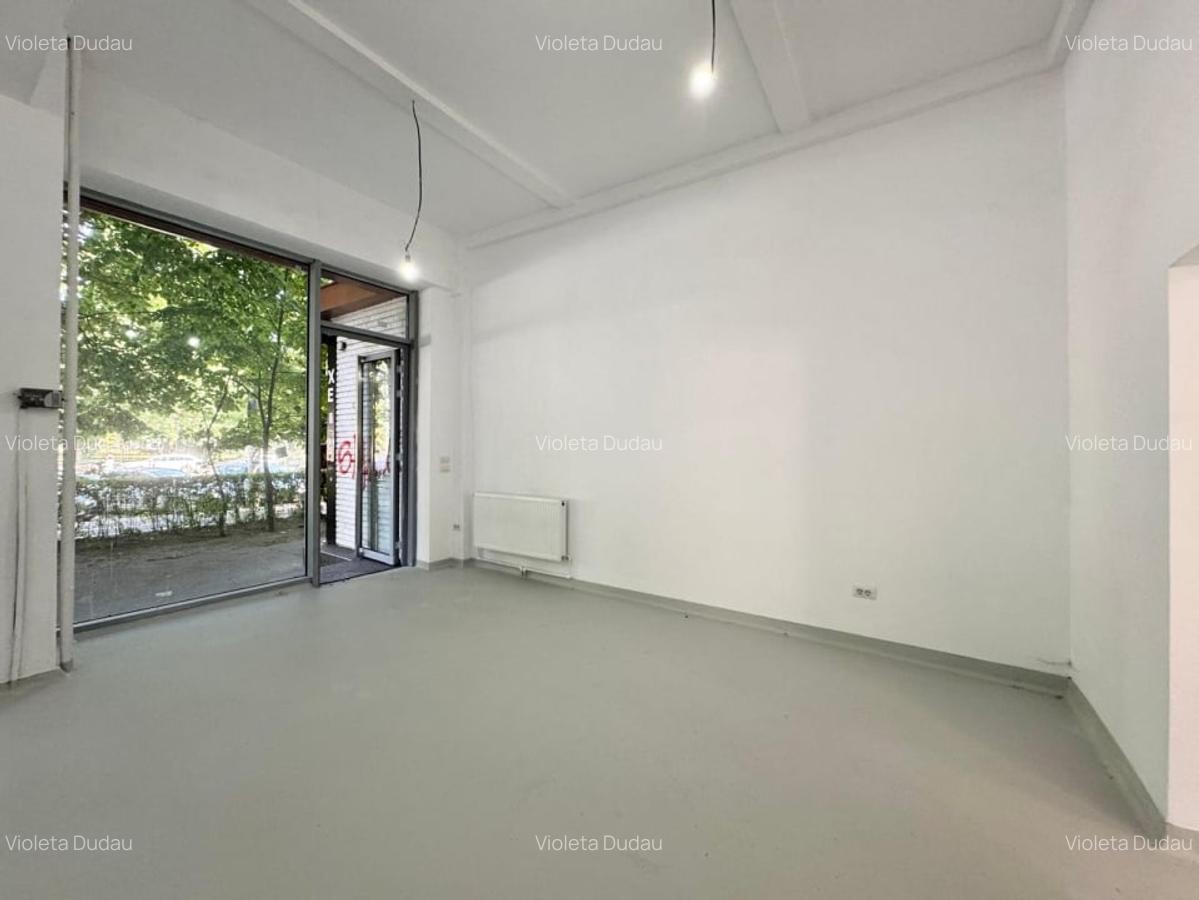 Spatiu Comercial Stradal, Stefan Cel Mare - Obor - 9