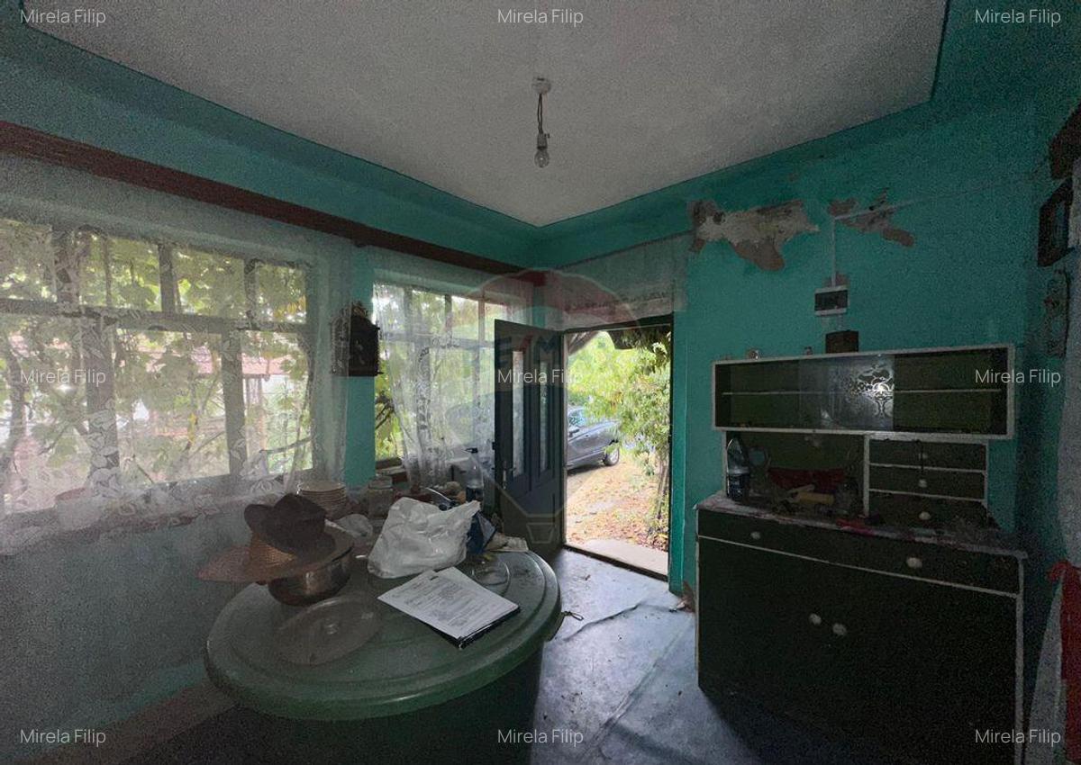 30 arii TEREN INTRAVILAN cu o GOSPODARIE veche - 16