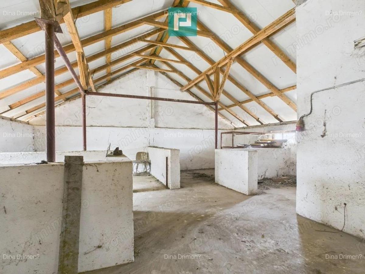 Hala pentru produc?ie / ferma zootehnica - Varia? - 10