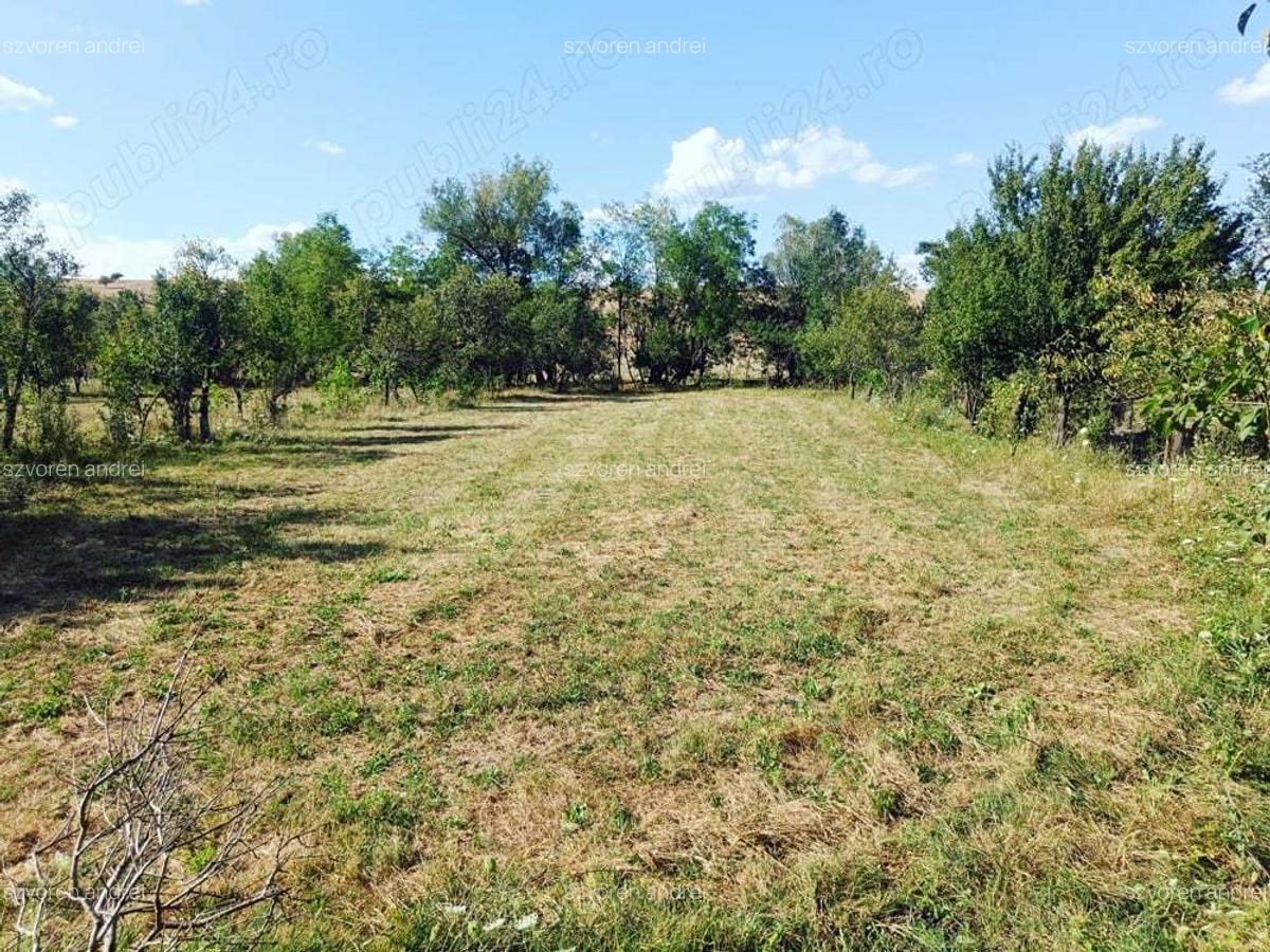 Casa de vanzare Sat Tes jud Timis - 5