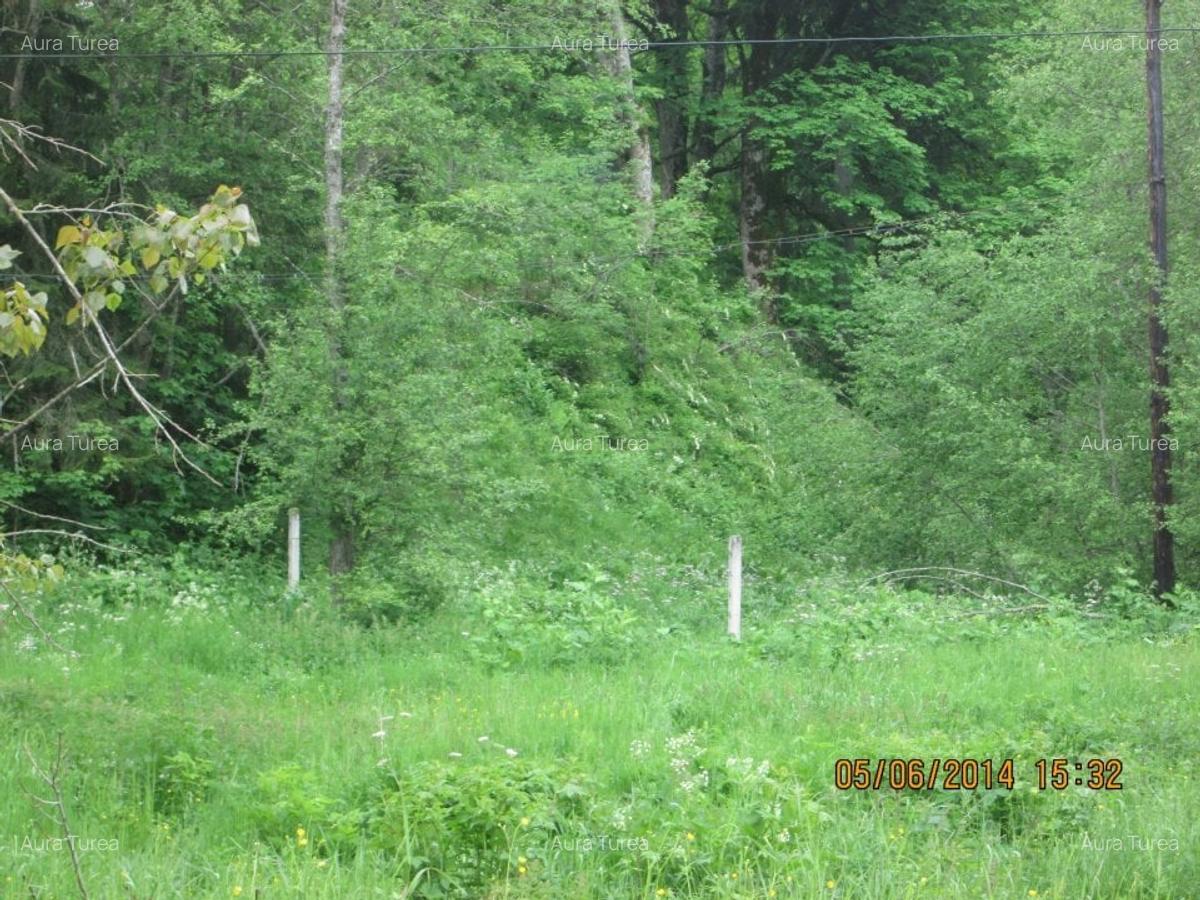 Teren intravilan in Predeal,Valea Rasnoavei - 1