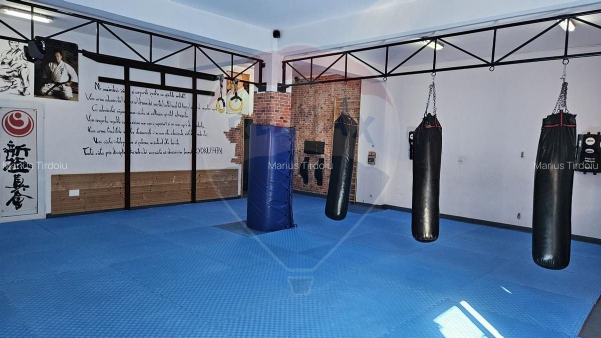 Vila spatioasa si versatila - Zona Margeanului, Bucuresti - 3