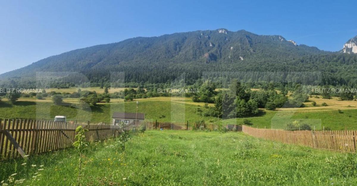 Teren Plaiul Foii, vedere spre muntii Bucegi si apa Barsa 10 - 3