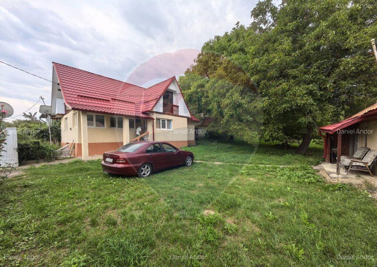 Casa traditionala De Vanzare cu 5 Hectare de teren - 5