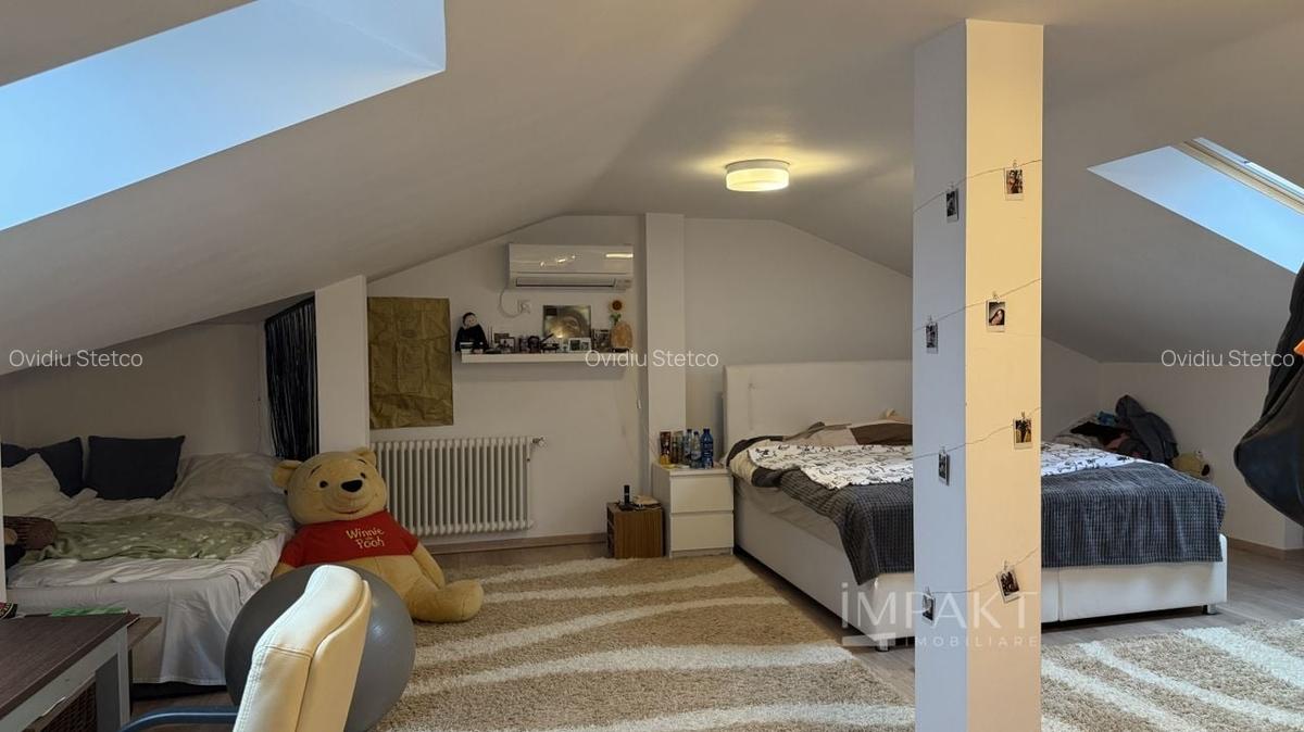 Casa deosebita 6 camere Faget cu teren generos de 1100 m2 - 25