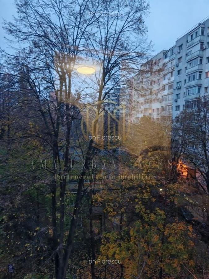 Teiul Doamnei Doamna Ghica  4 camere  87 mp , pret 136000eur - 16