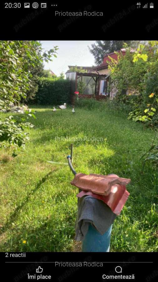 Casa de vanzare, Bariera Valcii, Craiova - 4 Casa de vanzare, Bariera Valcii, Craiova - 4