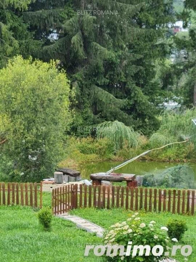 Domeniu situat la poalele Calimanilor - 13