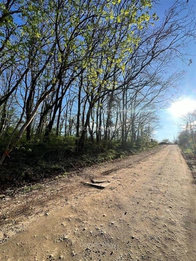 Teren Construcții intravilan de 818 mp, în Dealuri Oradea - 2