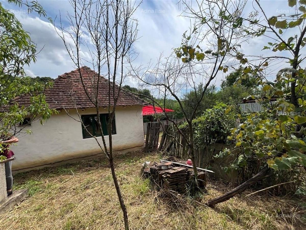 RECO Casa batraneasca cu teren generos la Lupoaia -Holod - 3