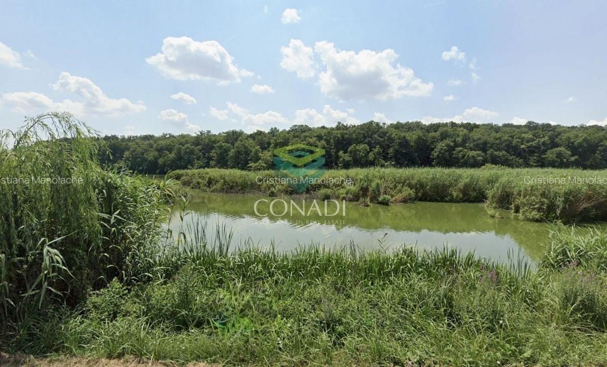 Teren 800mp Vadu Anei | Branesti | Langa Lac si Padure | Rezidential - 7