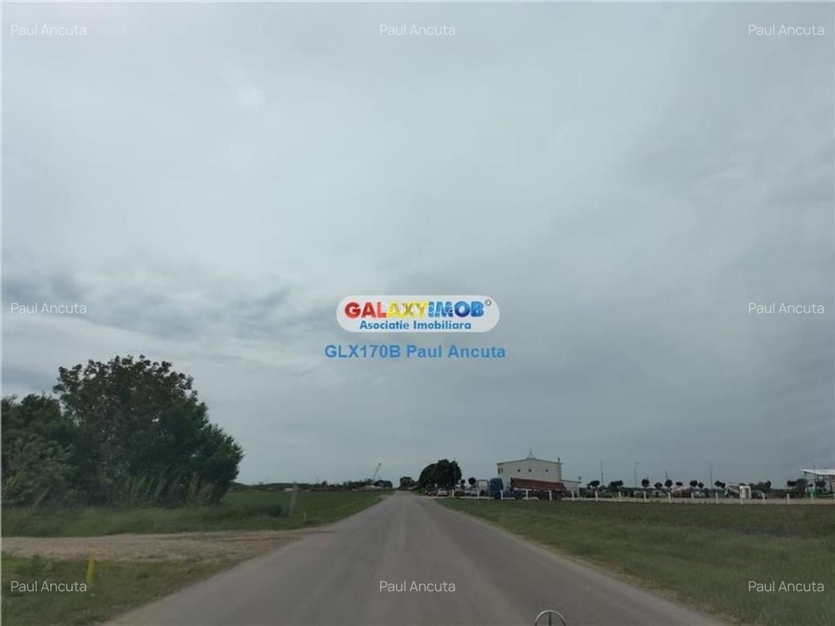 Teren Autostrada A3 Moara Vlasiei 26000 mp  Industrial Depozitare - 1