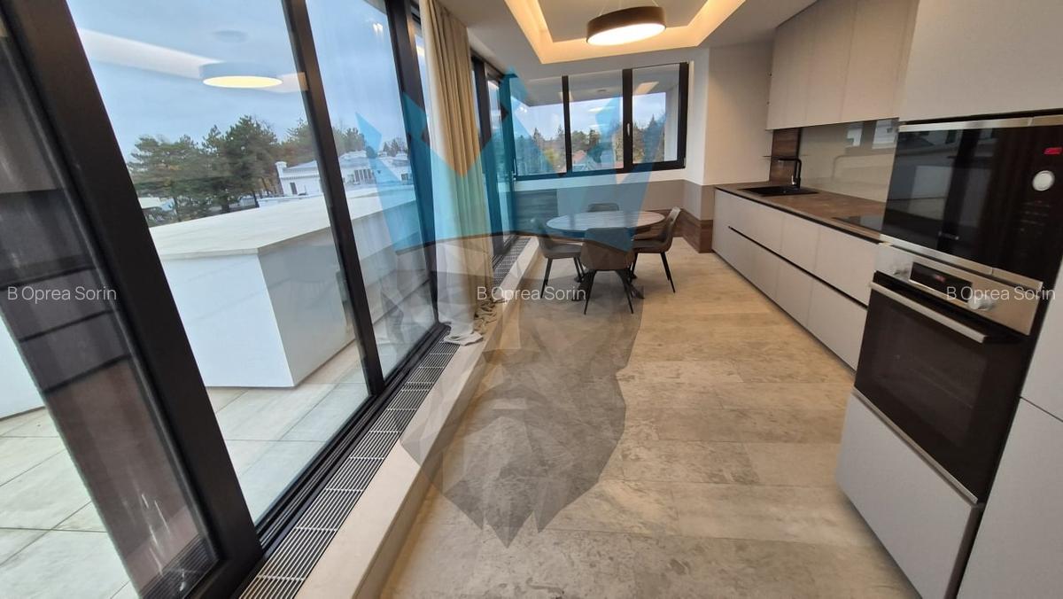 Penthouse 4 Camere Kiseleff Bucuresti - 7