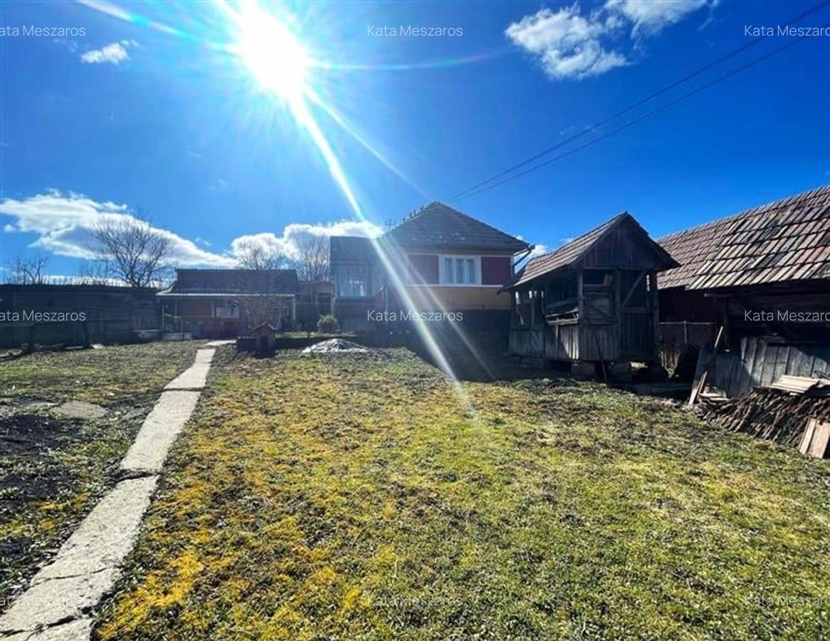 Tur Virtual! Casa traditionala+ domeniu de 4.300 mp,livada, anexe:refugiu apreci - 3