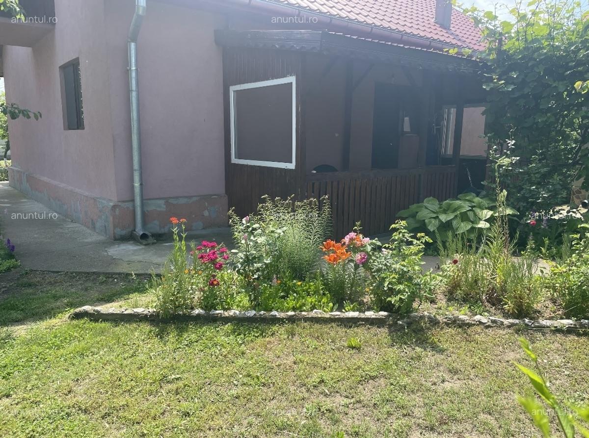 Comuna Marzanesti, sat Valea Parului, str Lalelelor, Teleorman - 1