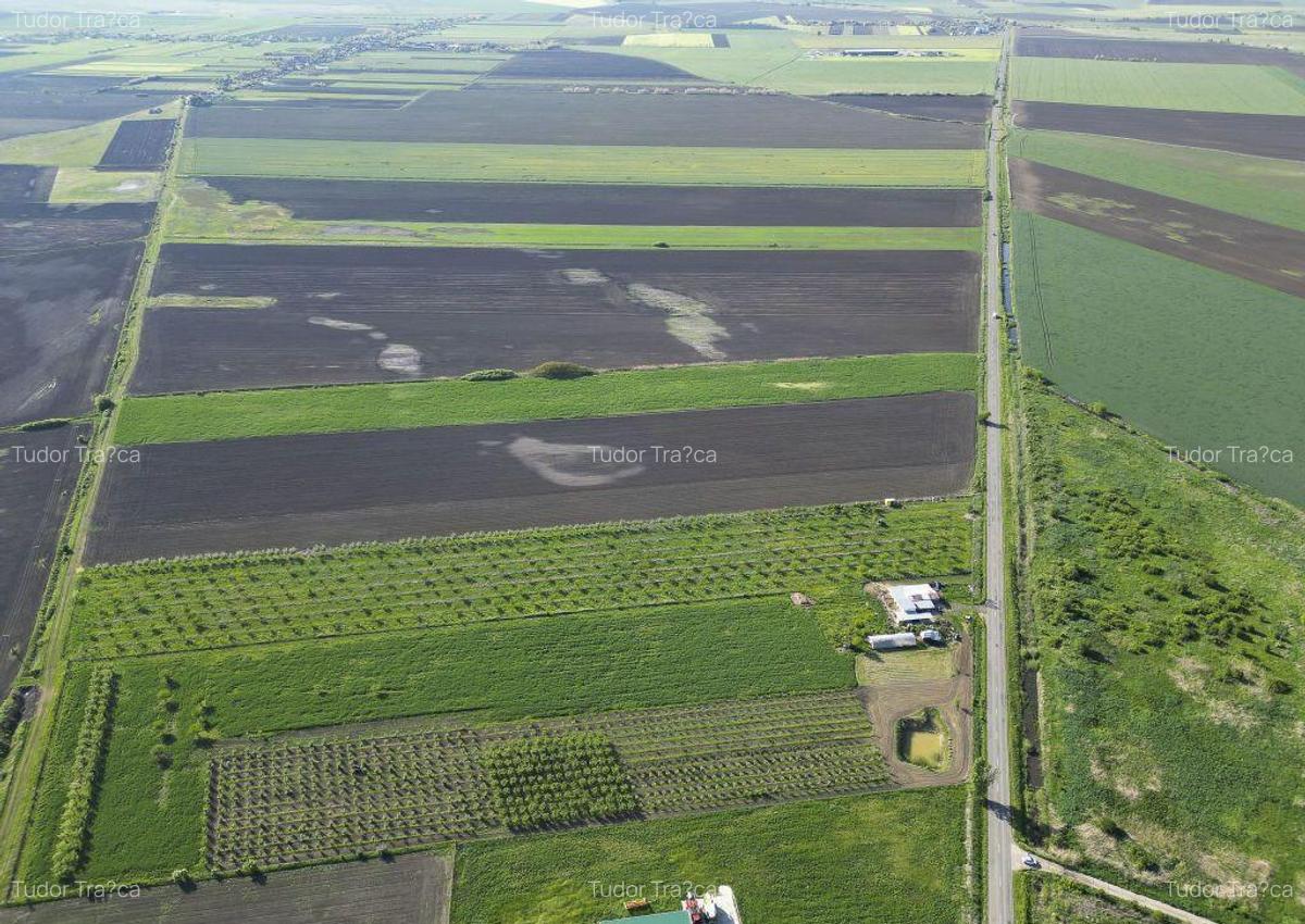 Livada de nuci ?i pruni 2.4ha in Varia?ul Mare - 17