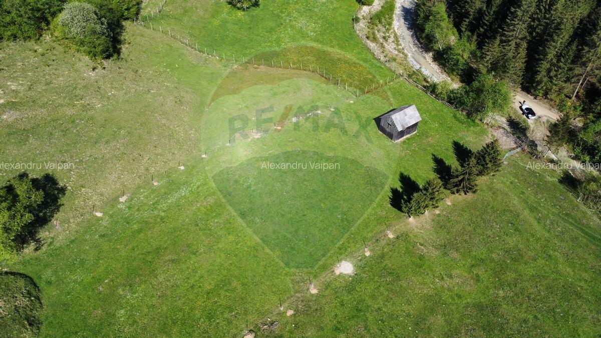 Teren 12,127mp Frasin / Drumul Forestier Valea Seaca - 8