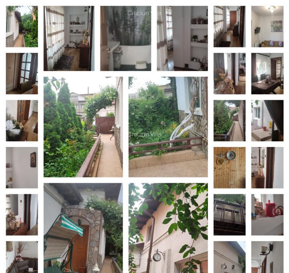 Casa in Ploiesti - 15
