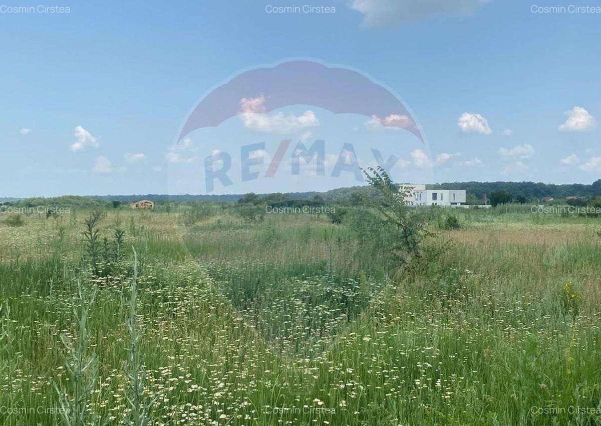 DE VANZARE Teren intravilan 600mp Drumul Piscul Mosului S... - 15