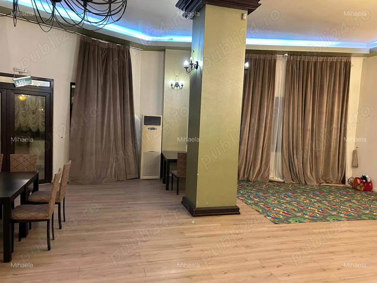 Spatiu Comercial De Inchiriat Petre Isiprescu - 2