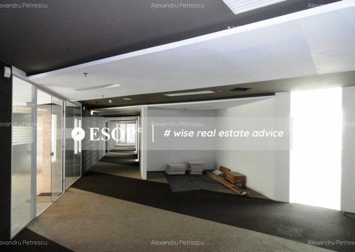 Europe House, Victoriei, 250 - 2665 mp 0% comision! - 6