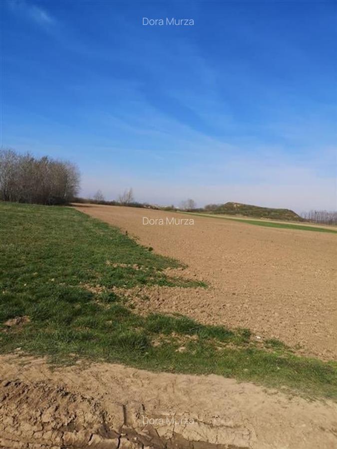 RECO Teren Santion - 2