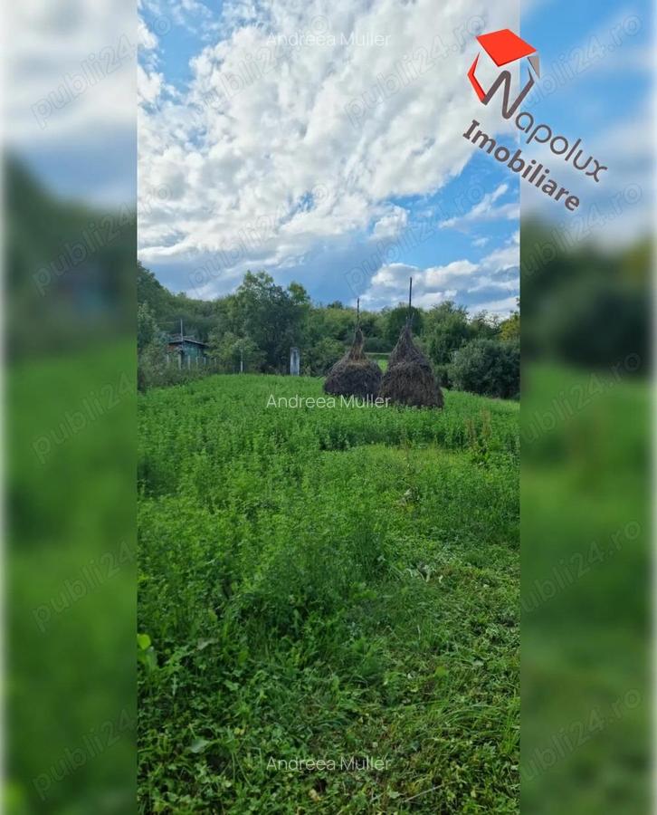 Teren pentru constructii in comuna Ciurila - 5