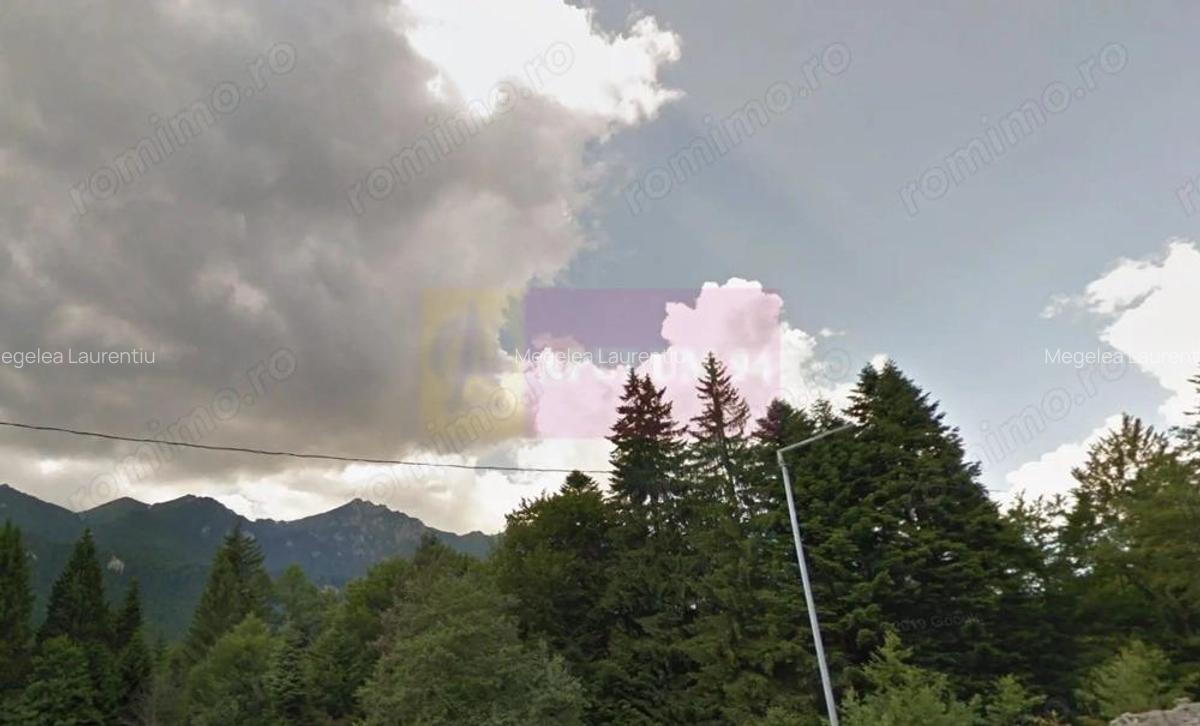 Teren extravilan in Sinaia (25 euro/mp) - 2
