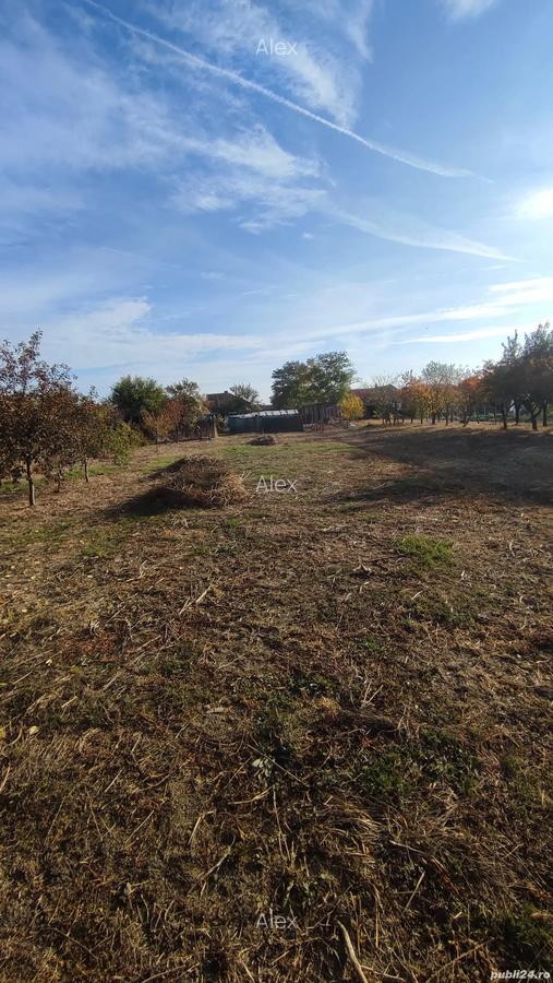 Casa de vanzare Gai - 8 Casa de vanzare Gai - 8