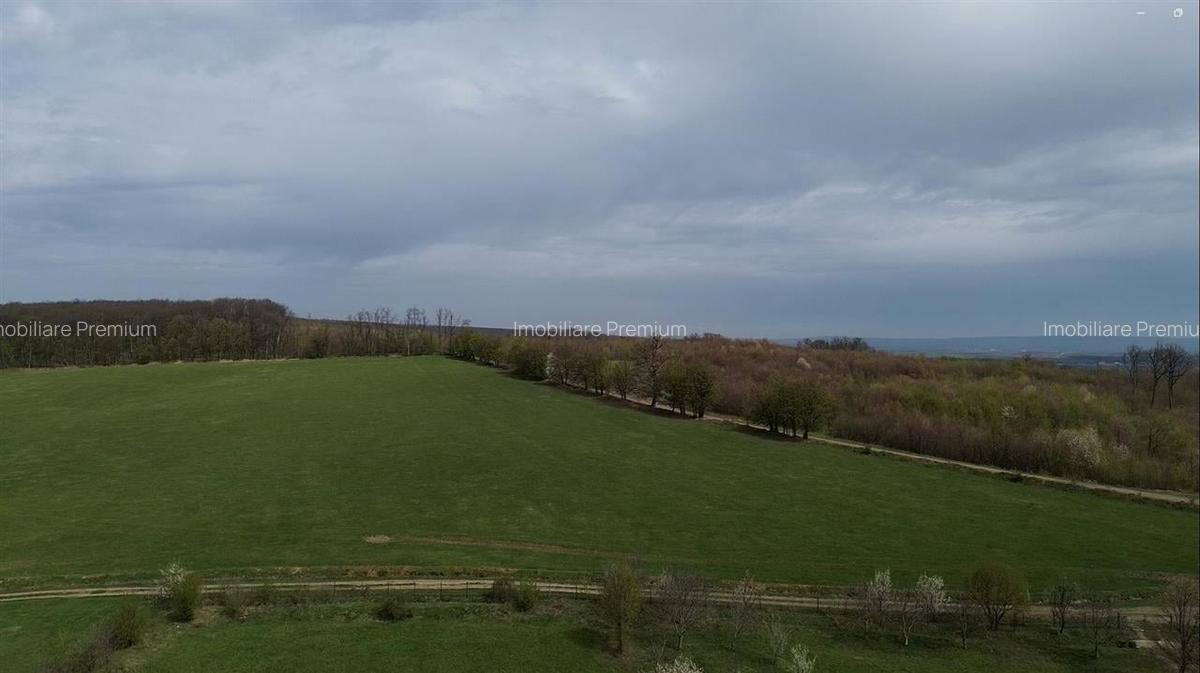 Teren intravilan 5800 mp Mitocasi - Suceava! - 10