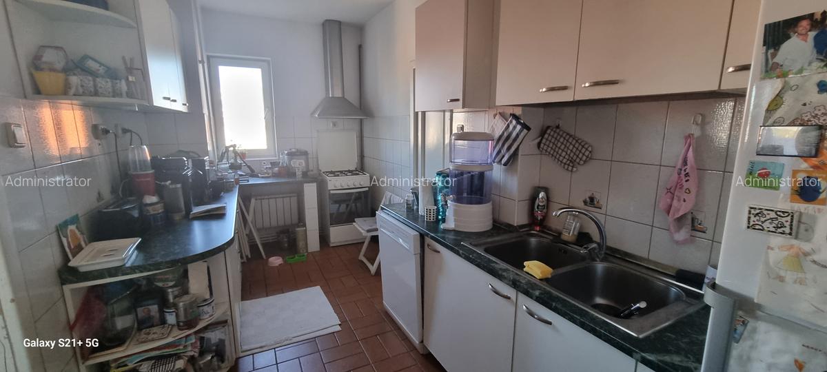 Dacia - Dumbrava Rosie ( Parc Ioanid ) - 6