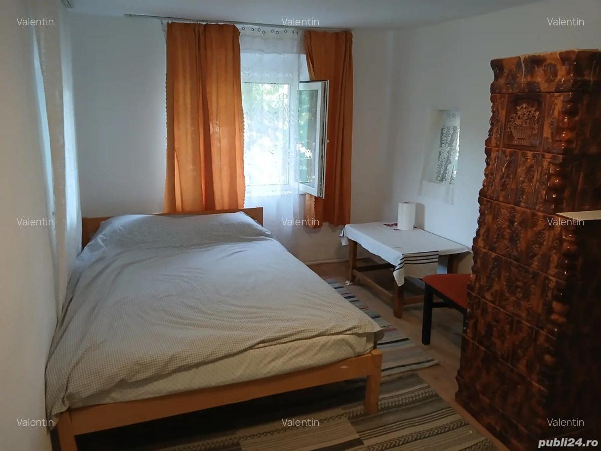 Casa la tara sat Silistea com Vitanesti - 1