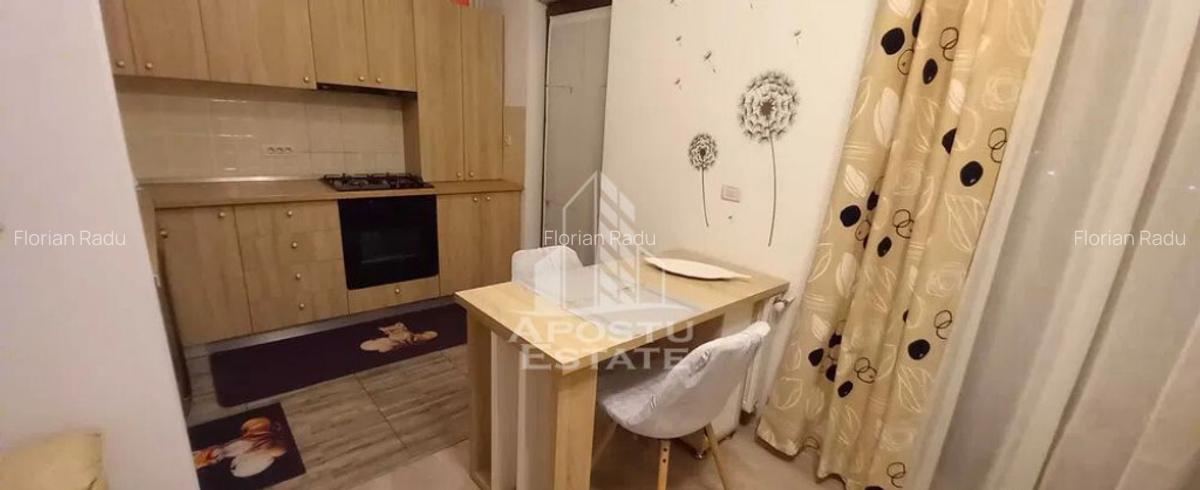 Apartament cu 2 camere, Giroc, Centrala Proprie, Pet Frie... - 13
