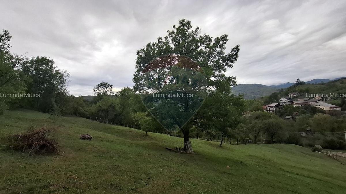 Teren cu priveliste spectaculoasa, 4000mp, la 18km de Sinaia - 3