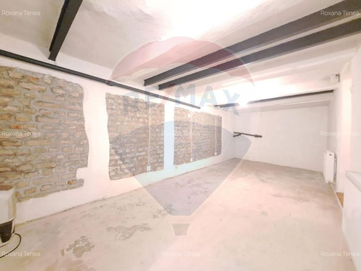 Spatiu comercial-Demisol-Atelier de arta - 7