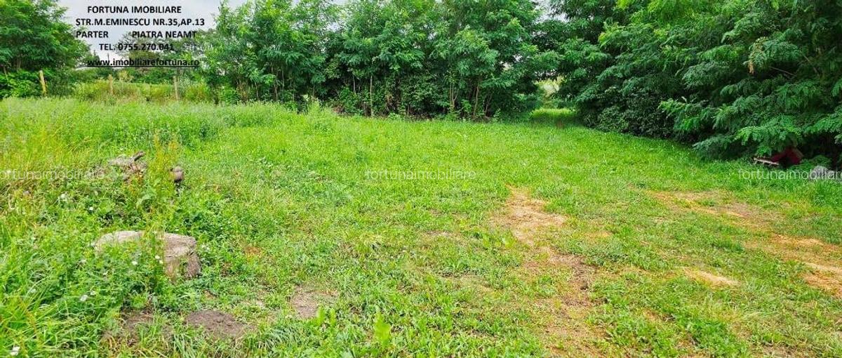 Teren intravilan com.Stefan cel Mare, 3414 mp - 6