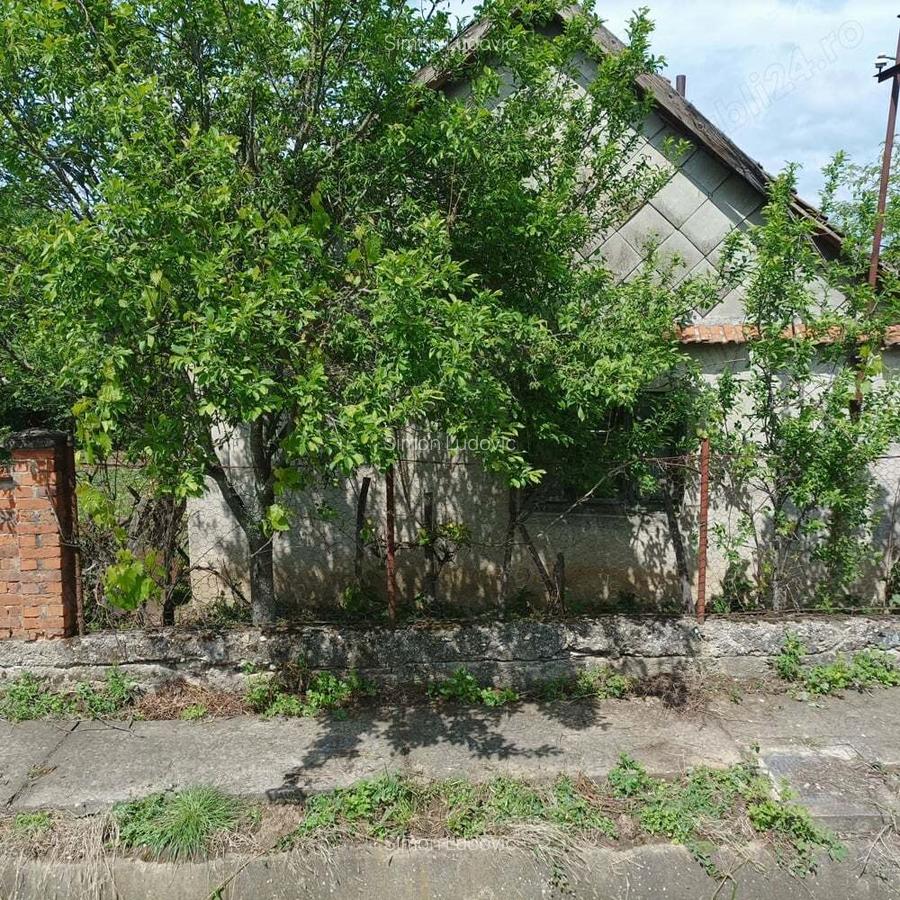 Vind casa cu gradina - 8