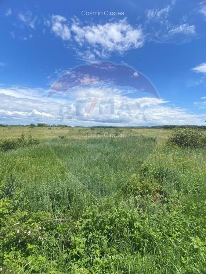 DE VANZARE Teren 5,000mp Sisesti Drumul Piscul Mosului - 10
