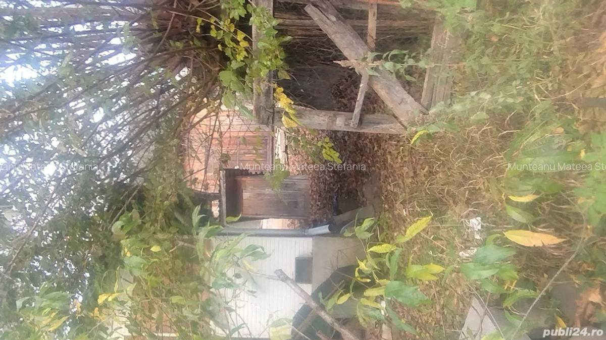 Vand casa batraneasca - 4