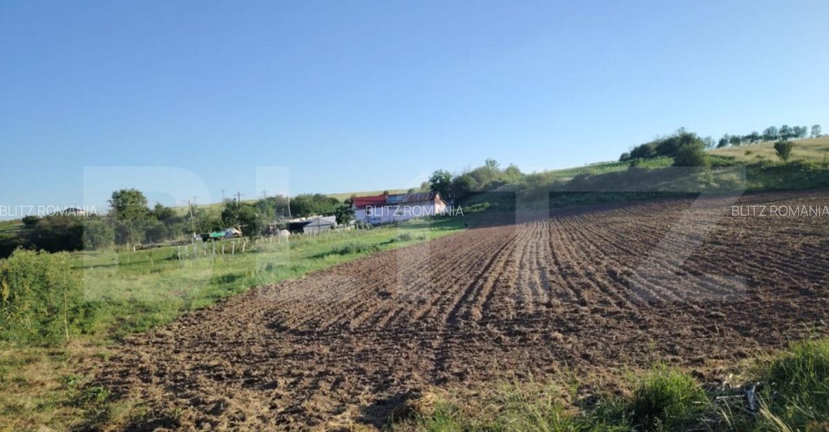 Teren ideal pentru constructie, 2722 mp in Ghercesti - 1