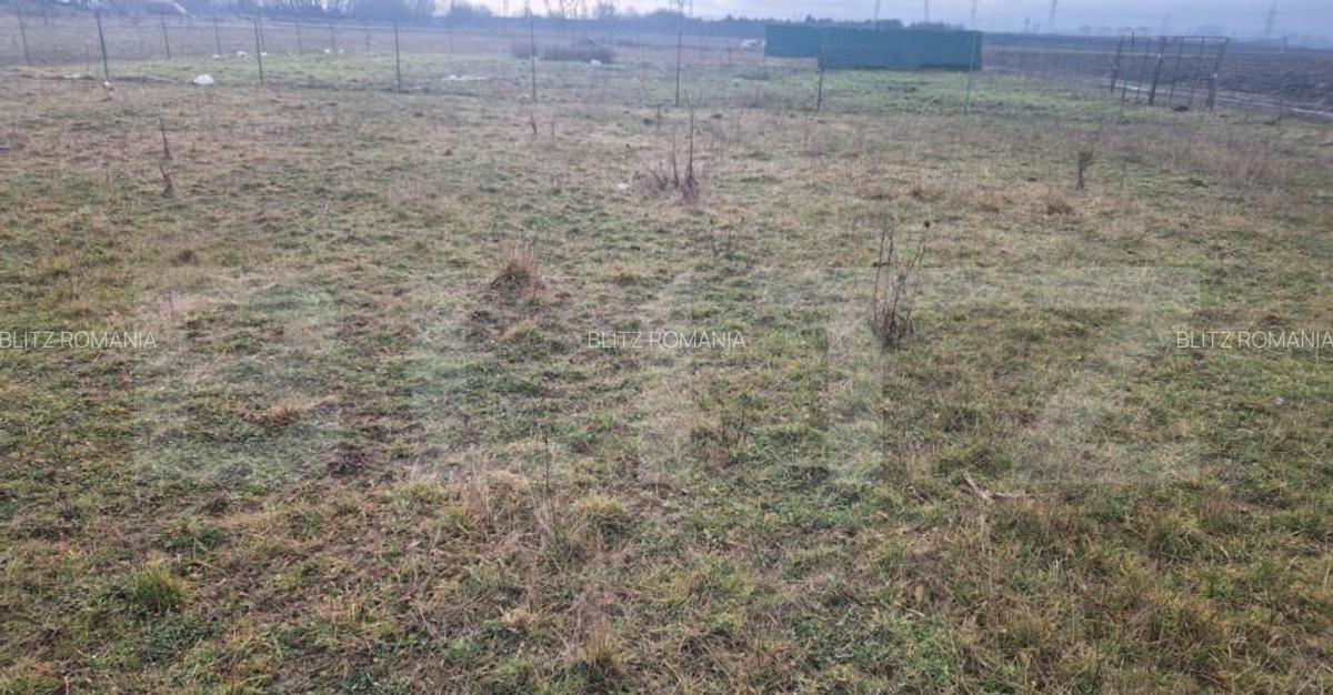 Teren intravilan Sanpetru - ideal ctie casa 500 mp - 4