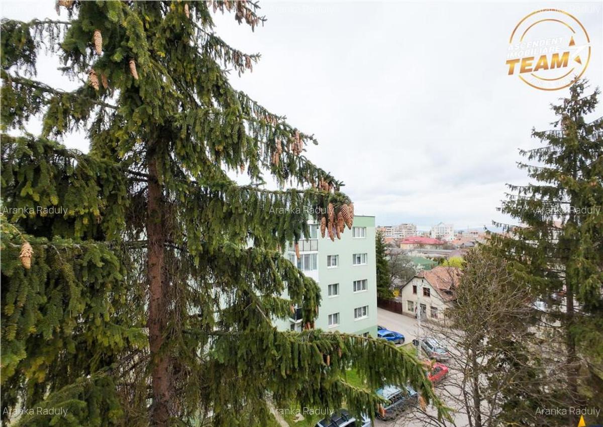 TUR VIRTUAL! Apartament 2 camere, zona excelenta, in Lenin, - 1